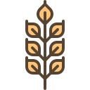 trigo icon