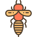 abeja icon