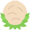 coliflor icon