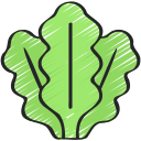 lechuga icon