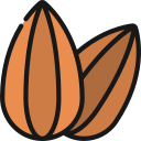 almendra icon