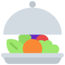 comida sana icon