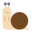 caracol icon