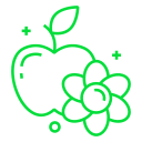 manzana icon