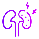 Kidneys icon