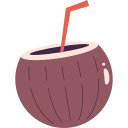 agua de coco icon