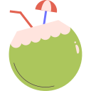 agua de coco icon