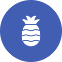 piña icon