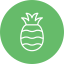 piña icon