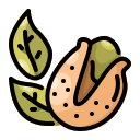 pistacho icon