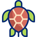 tortuga marina icon