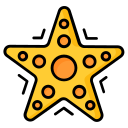 estrella de mar icon