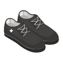 zapato icon