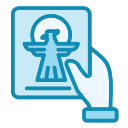 pasaporte icon