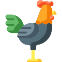 Pollo icon