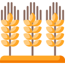 Trigo icon