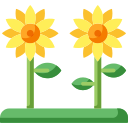 Girasol icon