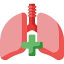 Pulmones icon