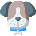 Perro icon