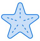 estrella de mar 