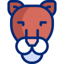 puma animated icon