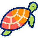 tortuga marina icon