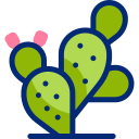 cactus icon