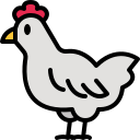 pollo icon