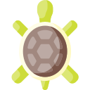 Tortuga icon