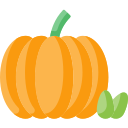 Calabaza icon