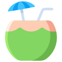 bebida de coco icon