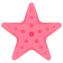 estrella de mar icon