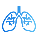 pulmones icon