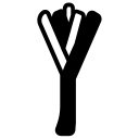 lauch 