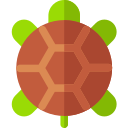 Tortuga icon