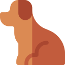 Perro icon