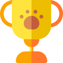 Premio icon