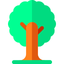 árbol