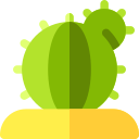 Cactus icon