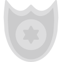 insignia icon