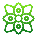 mandala icon