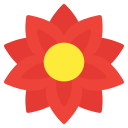 flor icon