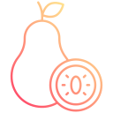 guayaba icon