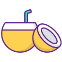 agua de coco icon