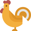 pollo icon