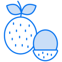 fruta icon