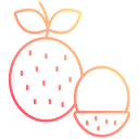 fruta icon