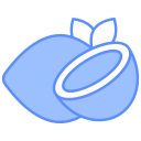 coco icon