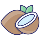 coco icon