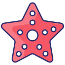 estrella de mar icon